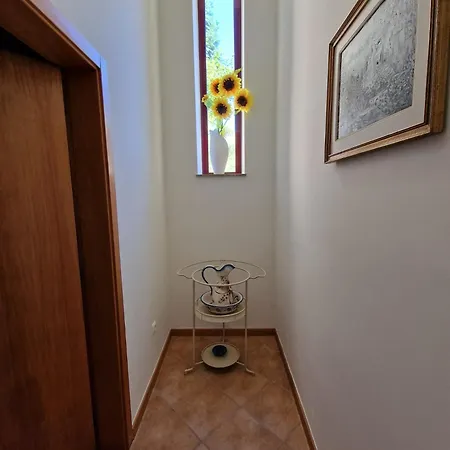 Casa Do Cedro